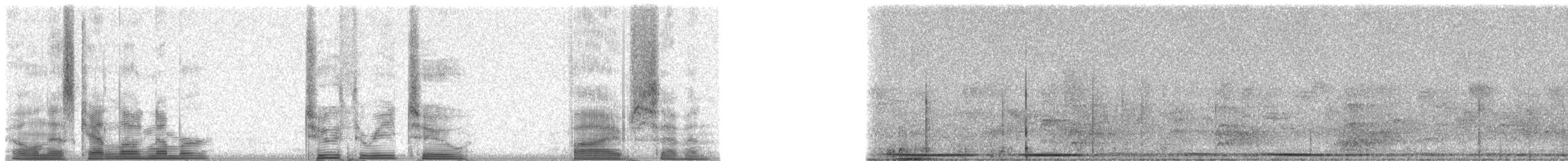 Yucatan Flycatcher - ML23257