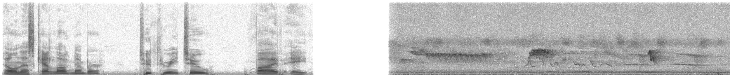 Yucatan Flycatcher - ML23258