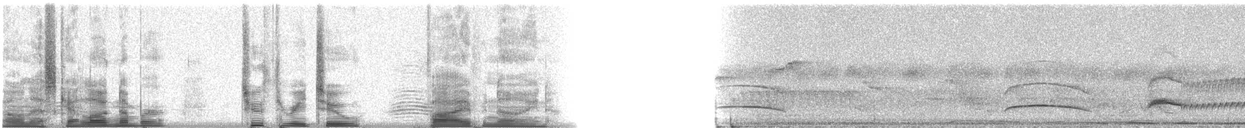 Dusky-capped Flycatcher - ML23259