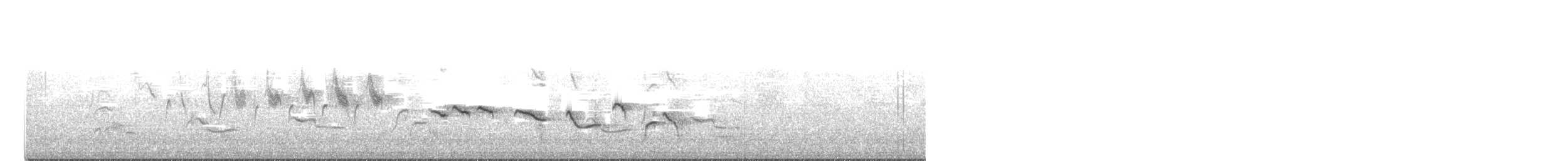 Baltimore Oriole - ML232591911