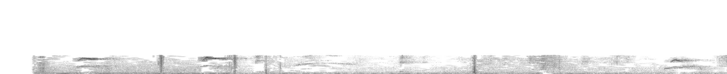 Little Owl - ML23259951