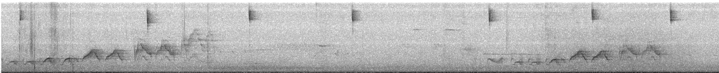 Дрізд-короткодзьоб Cвенсона - ML232613991