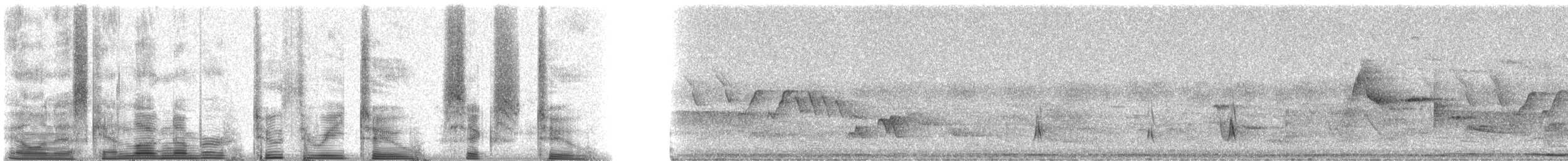 Brown-crested Flycatcher (Cooper's) - ML23262