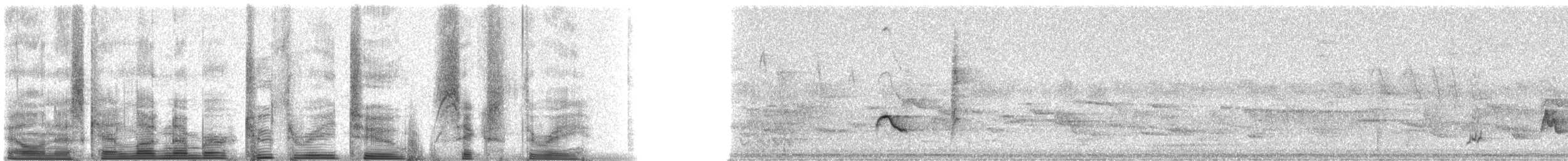 Brown-crested Flycatcher (Cooper's) - ML23263