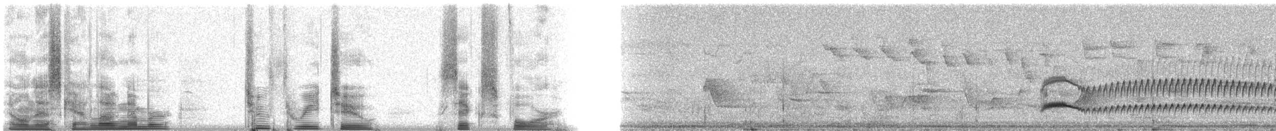 Темноголовый миарх - ML23264