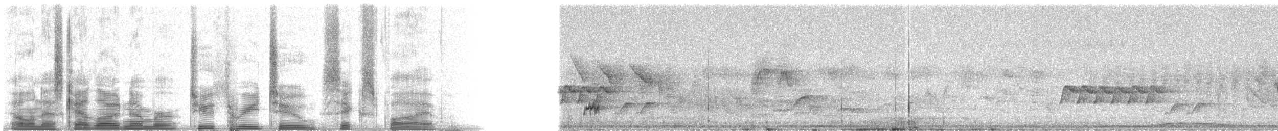 Brown-crested Flycatcher (Cooper's) - ML23265