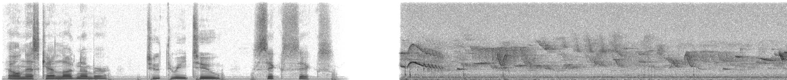 Dusky-capped Flycatcher - ML23266