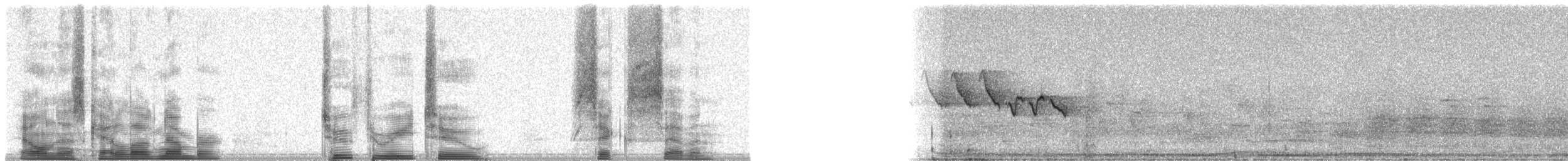 Yucatan Flycatcher - ML23267