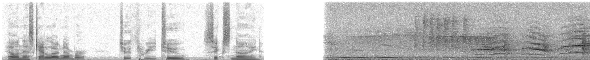 Yellow-lored Amazon - ML23269