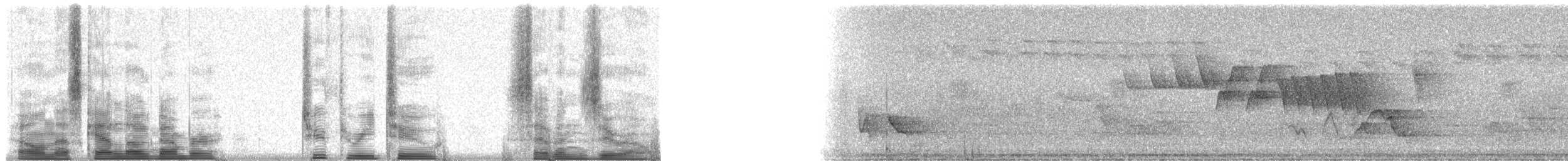 Yucatan Flycatcher - ML23270