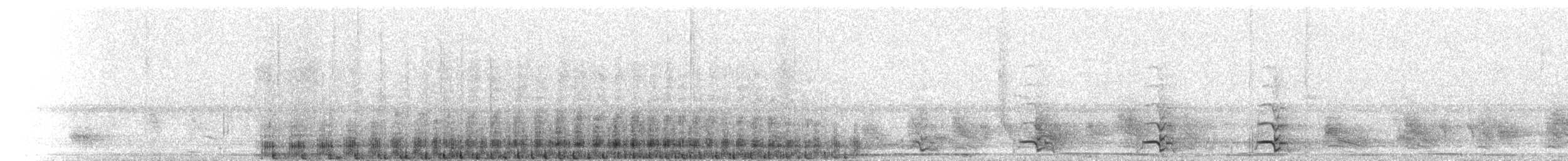 Белокрылая пенелопа - ML232706761