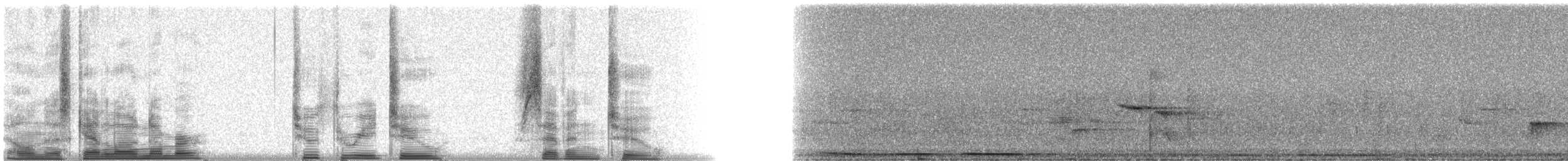 Dusky-capped Flycatcher - ML23272