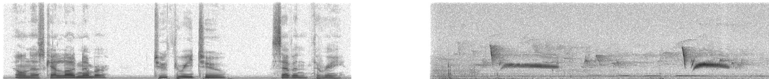 Cozumel Vireo - ML23273