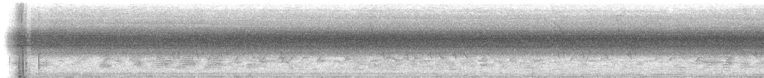 Large Gray Babbler - ML232753821