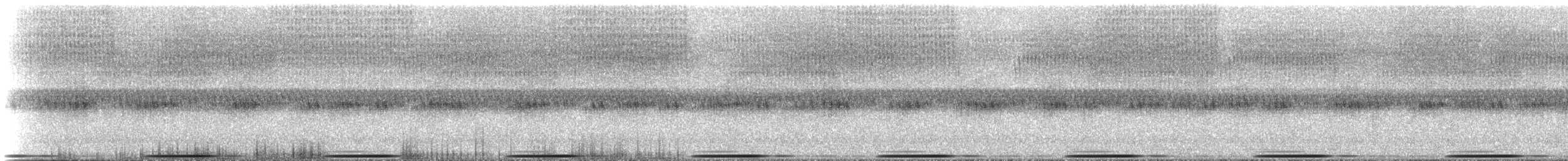 holub pestrokřídlý - ML232798