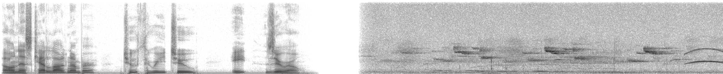Boz Başlı Sinekkapan - ML23280