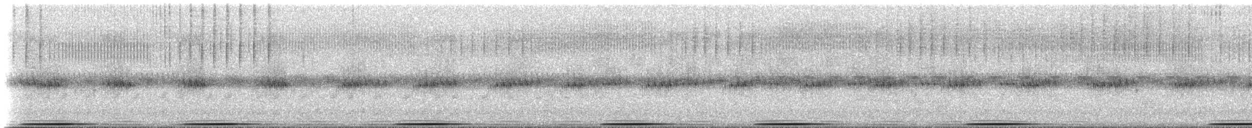 holub pestrokřídlý - ML232801