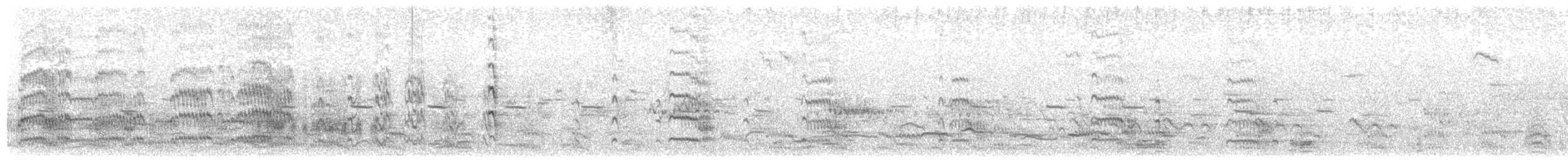 Flussseeschwalbe - ML232802911
