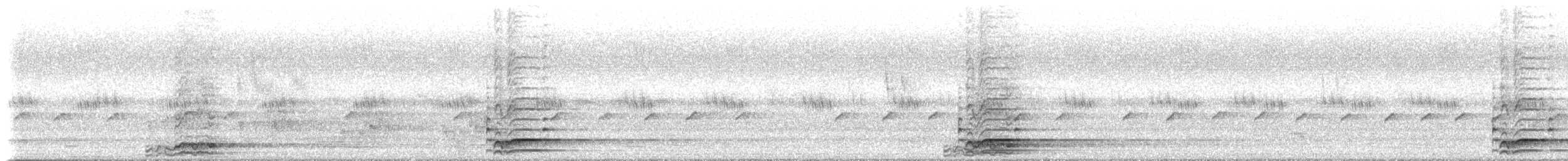 Pied Currawong - ML232806