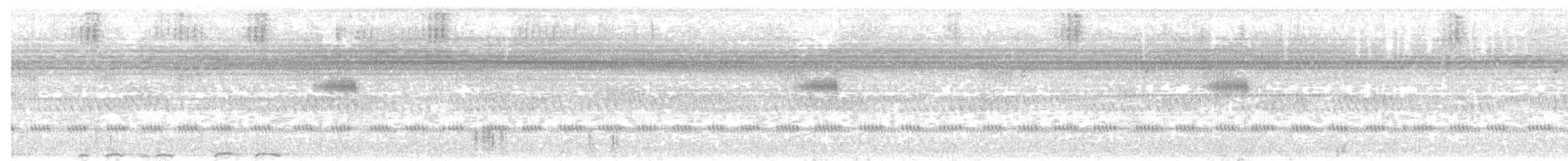 Bihoreau à dos blanc - ML232809731