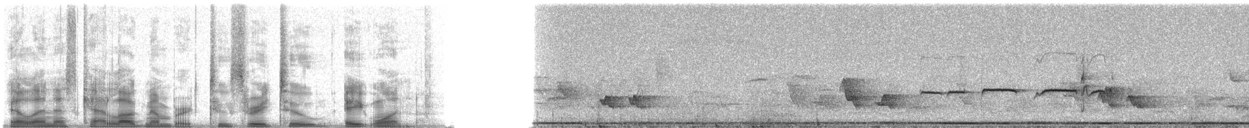 Northern Beardless-Tyrannulet - ML23281