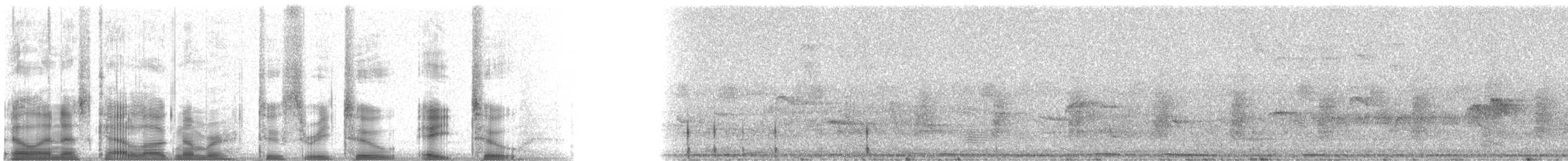 Dusky-capped Flycatcher - ML23282