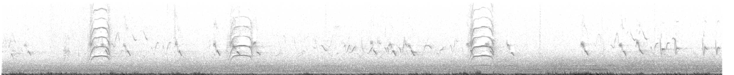 Büyük Kiskadi Tiranı - ML232832211