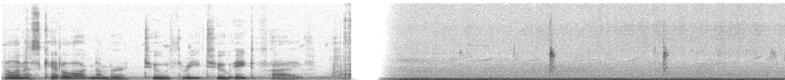 Al Kanatlı Karatavuk [phoeniceus grubu] - ML23285