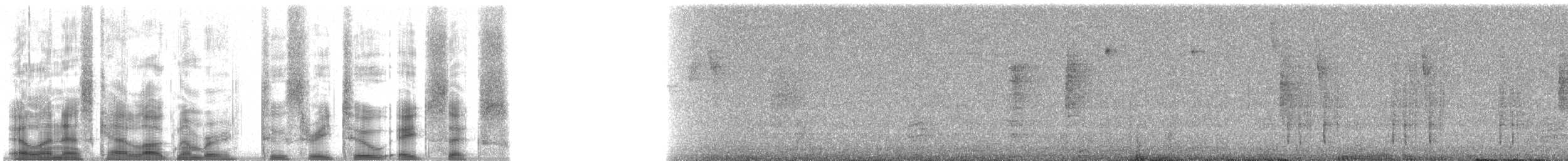 Mor Gerdanlı Günmeleği (splendidus/pyropus) - ML23286