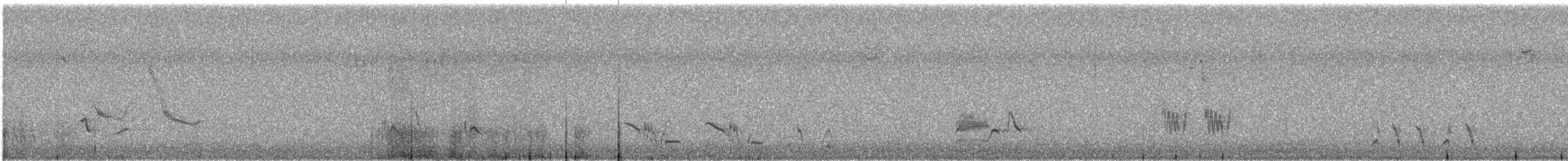 Brown Thrasher - ML232873791