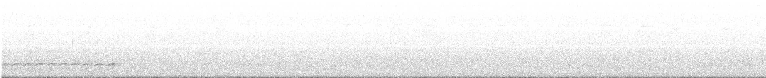 Weißbrustkleiber - ML232887541