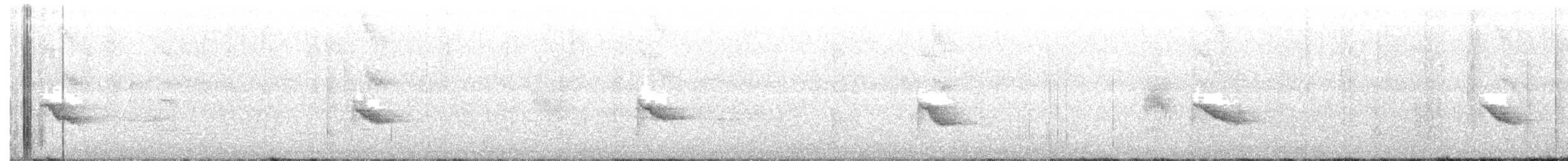 Пестрогорлый соловьиный дрозд - ML232921651