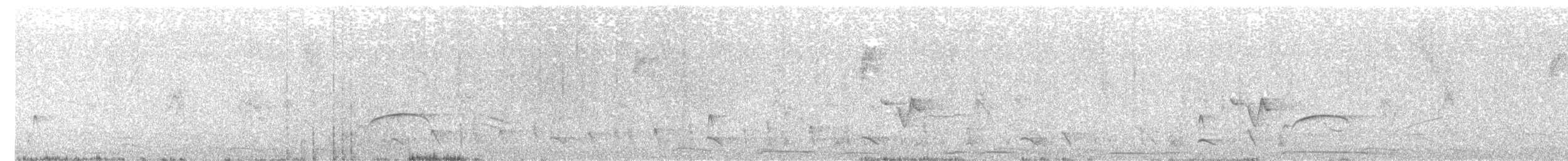 Nutting's/Salvadoran Flycatcher - ML232921951