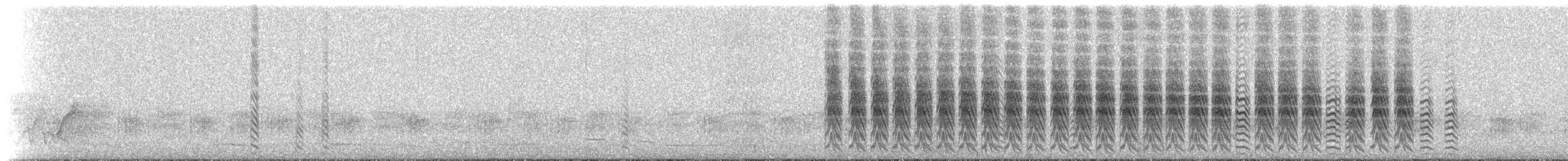 Zebra İspinozu (castanotis) - ML232925