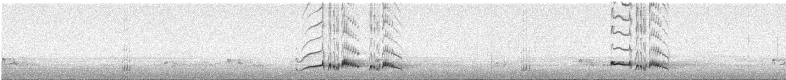 Brown-crested Flycatcher - ML232939171