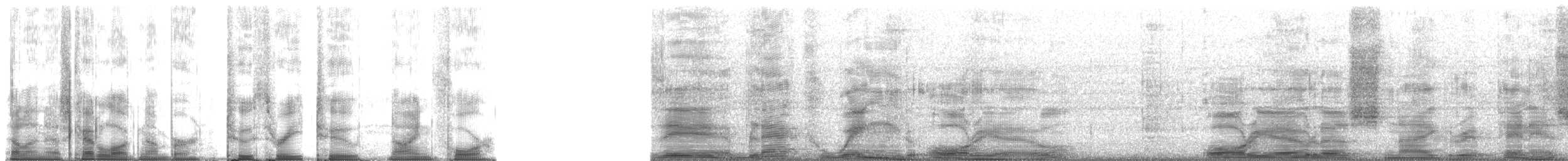 žluva horská - ML23294