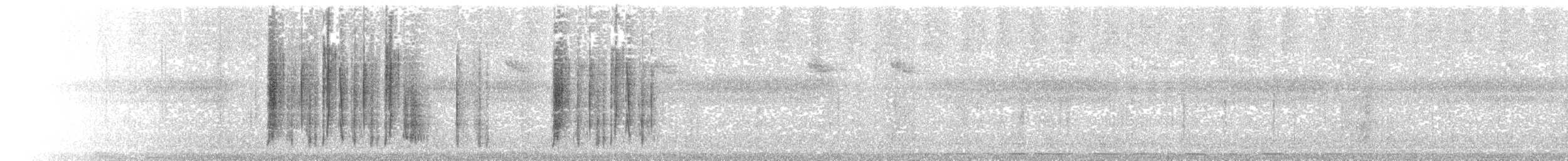 kometkolibri - ML232955281
