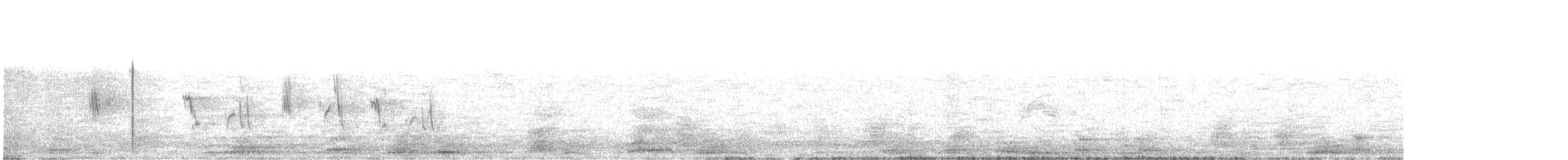 Büyük Kahverengi Kırlangıç - ML232957281