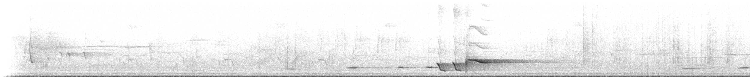 Серогрудый питуи - ML232962