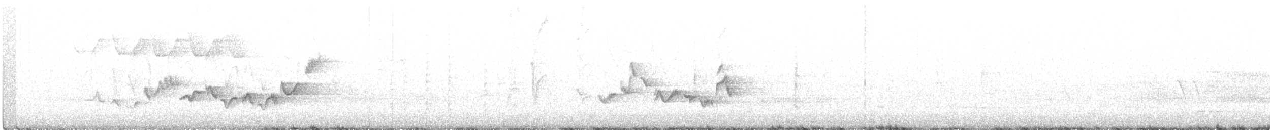Warbling Vireo - ML232967561