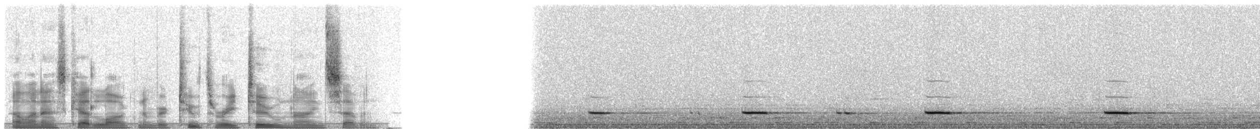 Eurasian Pygmy-Owl - ML23297