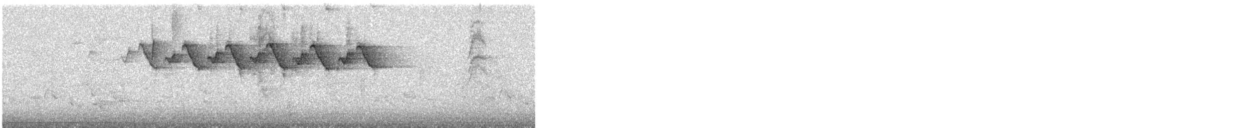 Black-and-white Warbler - ML232977491