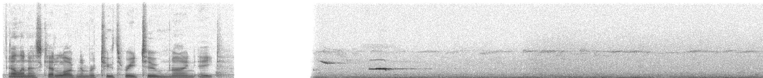 Eurasian Pygmy-Owl - ML23298