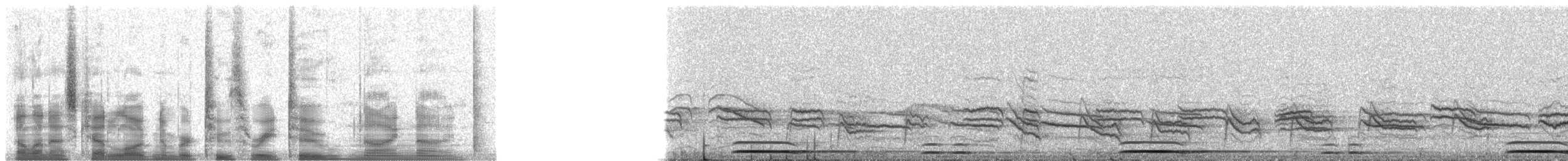 Eurasian Pygmy-Owl - ML23299