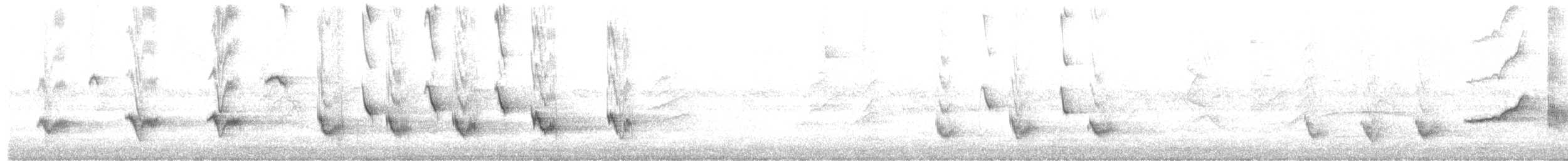 Белобровый пересмешник - ML233005611