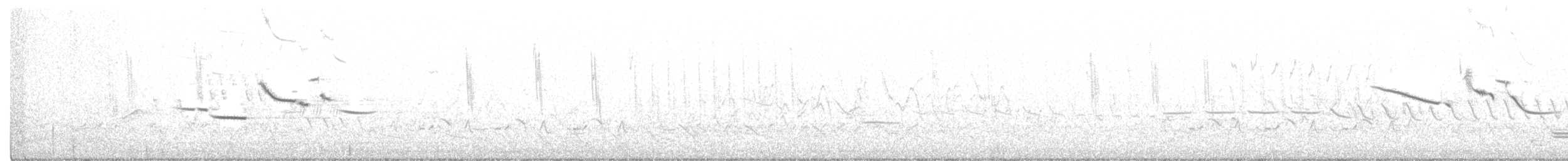 Sedge Wren - ML233014651