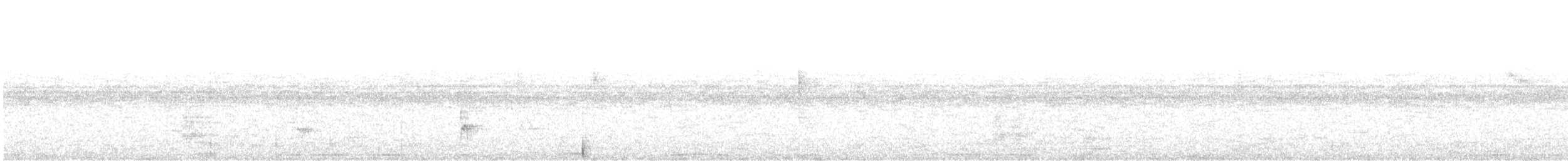 holub bledočelý - ML233016611