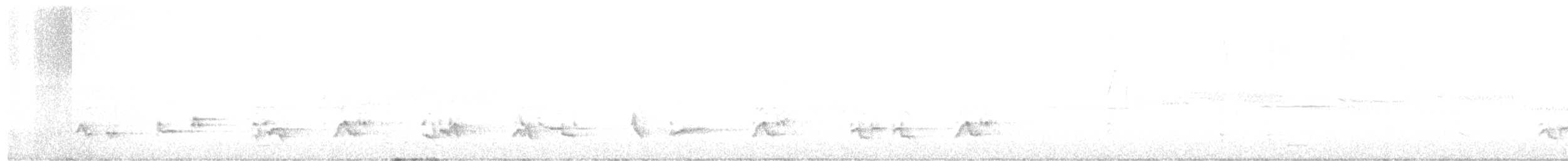 drozd stěhovavý - ML233025781
