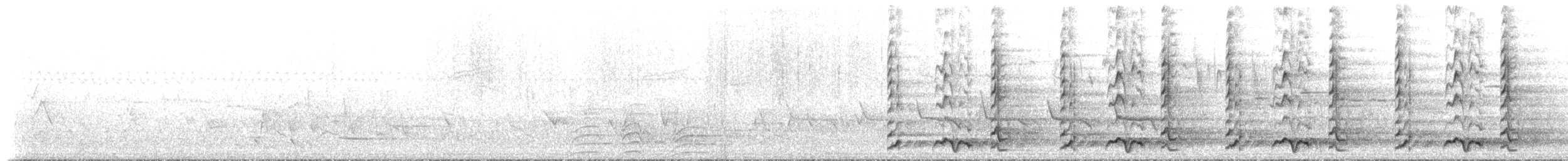 Noisy Friarbird - ML233035
