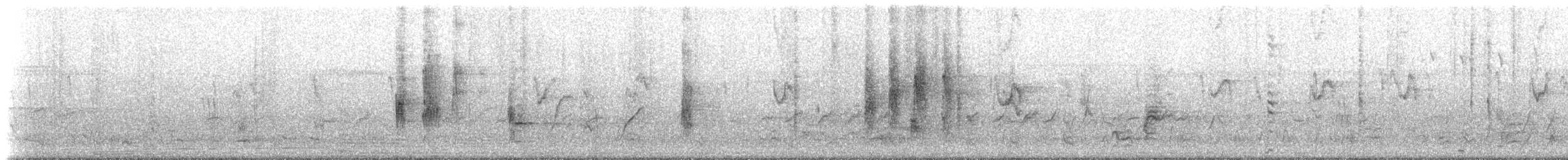 Chorlitejo Frentinegro - ML233049